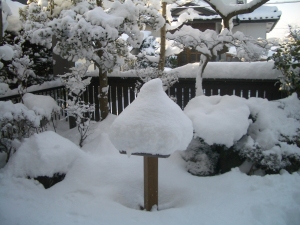また降った
